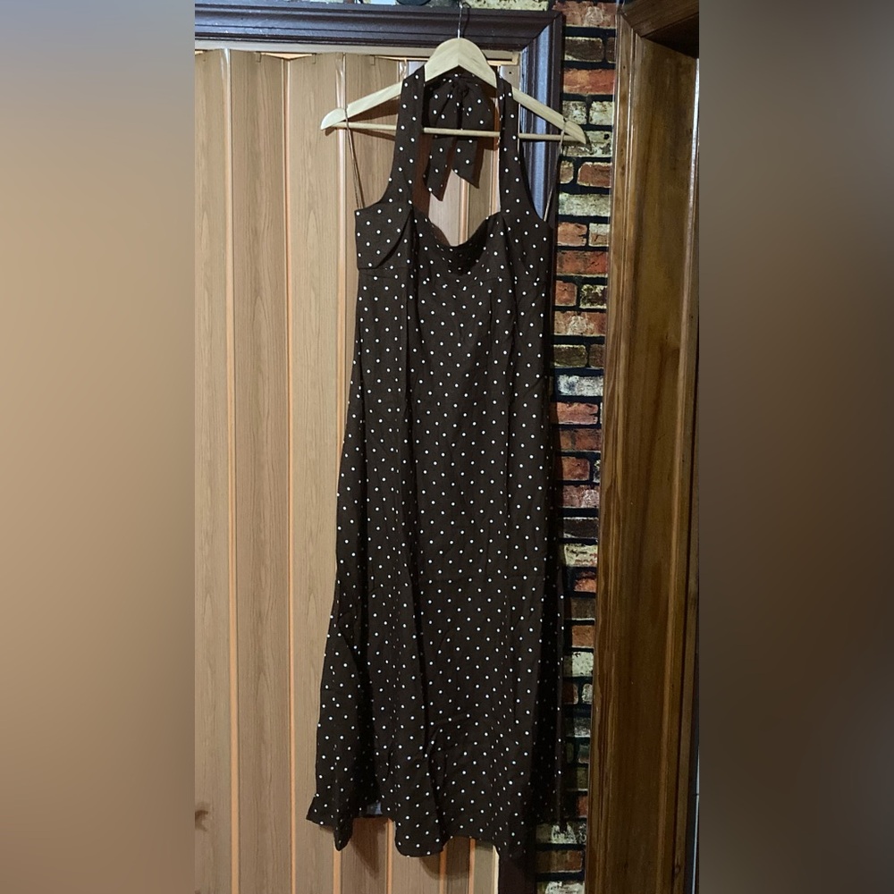 Zara Brown Polka Dot Midi Dress